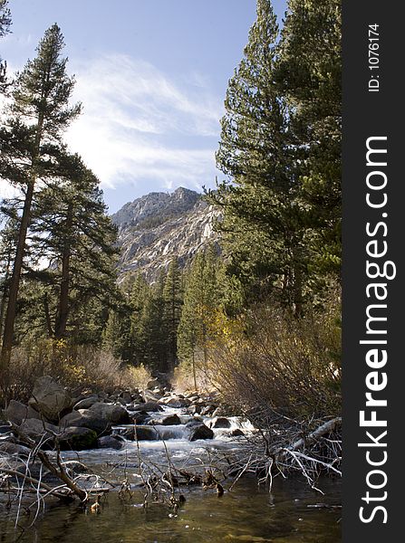 High Sierra creek autumn 2005