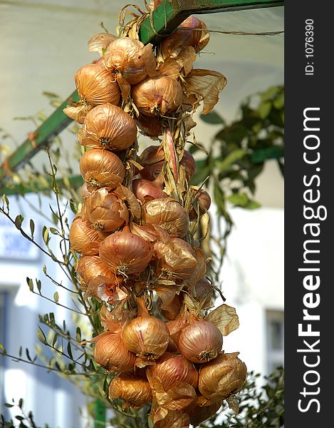 Onion on the festival of food in montenegro