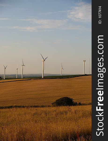 Wind Turbines in a field