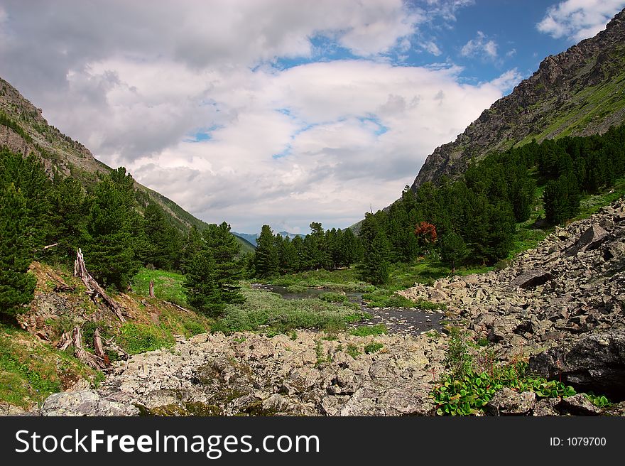 Mountains landscape. Altay. Russia. Summer