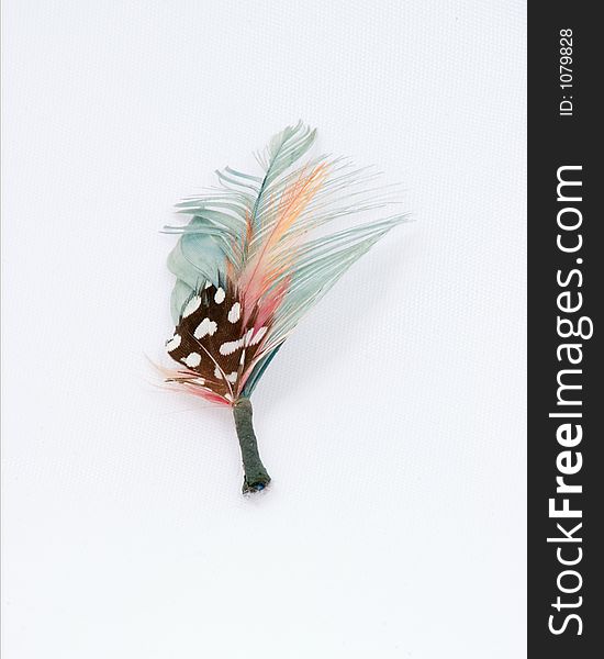 Multi color small feather. Multi color small feather.