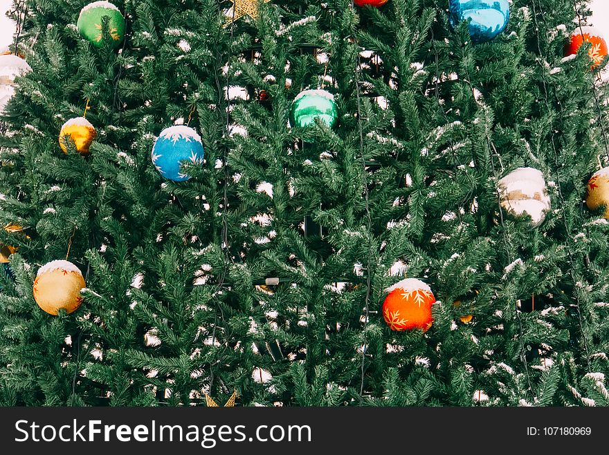 Fir tree decorated with colorful balls for Christmas time. Fir tree decorated with colorful balls for Christmas time.