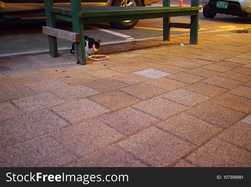 Floor, Public Space, Flooring, Road Surface