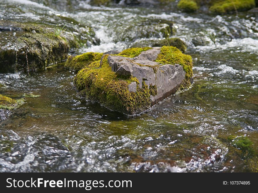 Water, Stream, Body Of Water, Rock