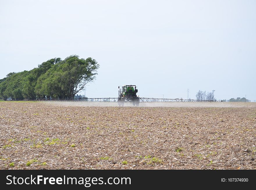 Field, Tree, Rural Area, Agriculture