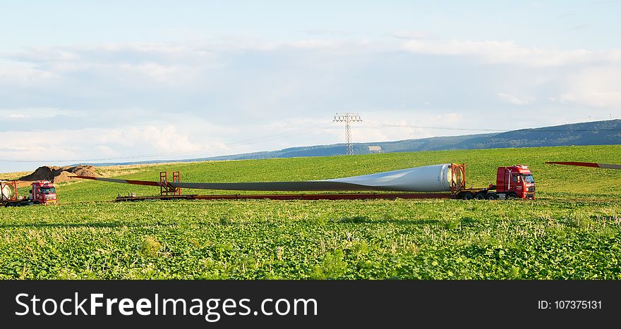 Grassland, Farm, Field, Plant