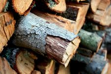 Free Wood, Trunk, Lumber Stock Photography - 107439212