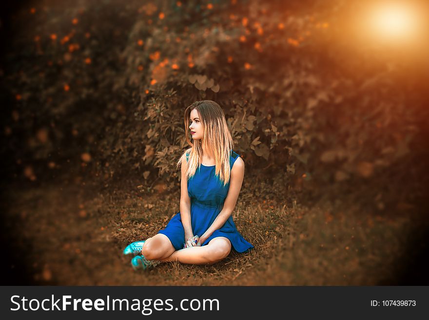 Blue, Photograph, Nature, Sitting