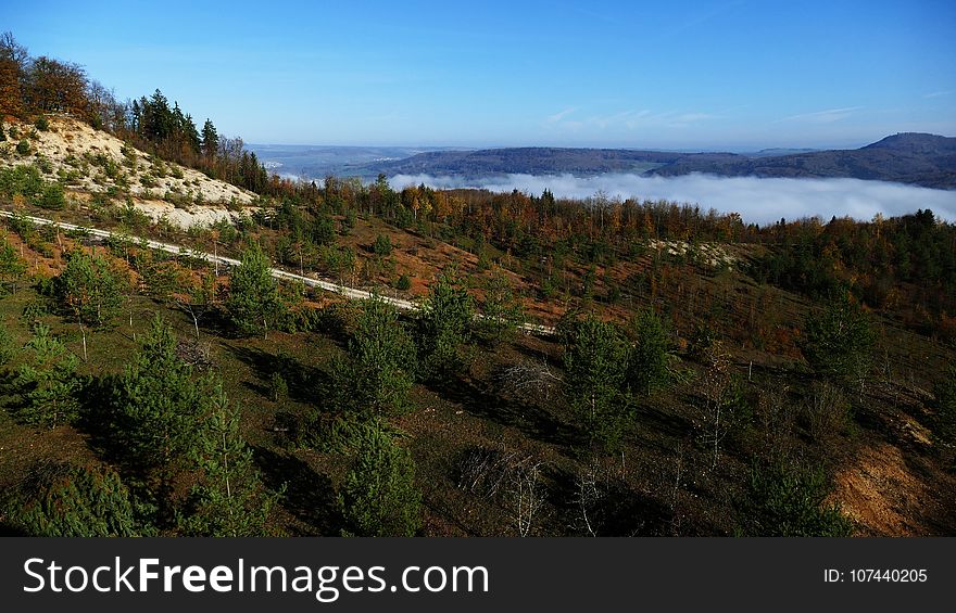 Wilderness, Nature Reserve, Mountain, Vegetation