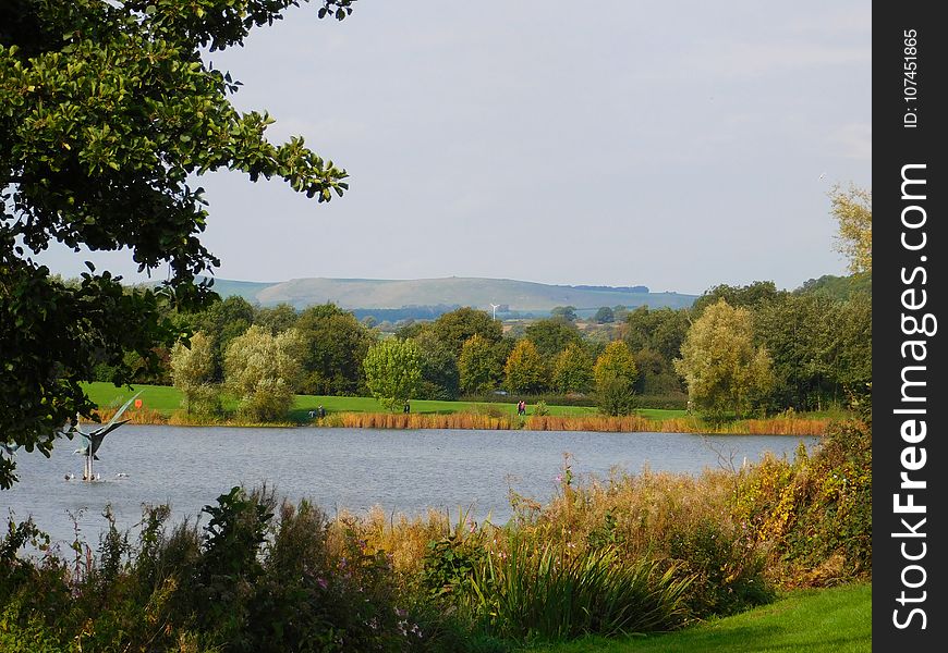 Nature, Nature Reserve, Lake, Wilderness