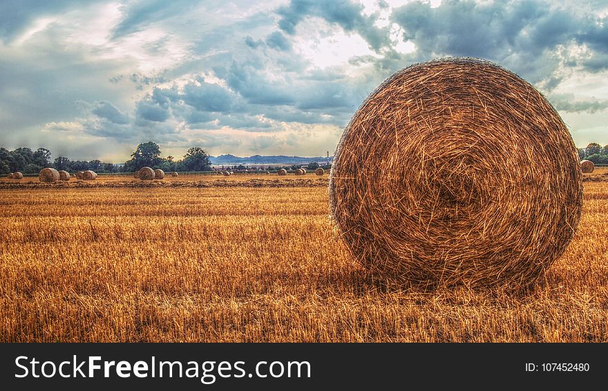 Hay, Field, Straw, Sky
