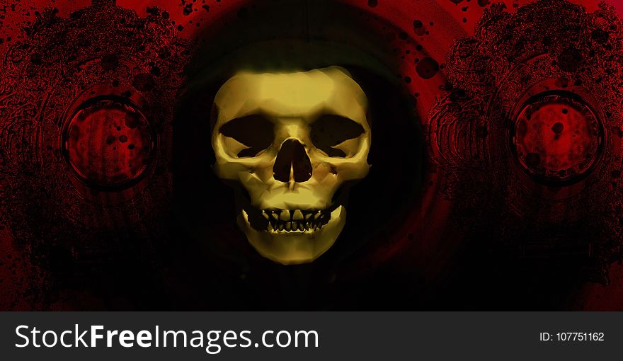 Skull, Bone, Darkness, Close Up