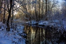 Winter Frosty Sunny Landscape Royalty Free Stock Photography Winter Frosty Sunny Landscape Royalty Free Stock Photography