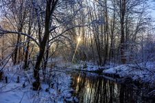 Winter Frosty Sunny Landscape Royalty Free Stock Photo Winter Frosty Sunny Landscape Royalty Free Stock Photo