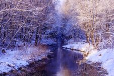 Winter Frosty Sunny Landscape Stock Images Winter Frosty Sunny Landscape Stock Images