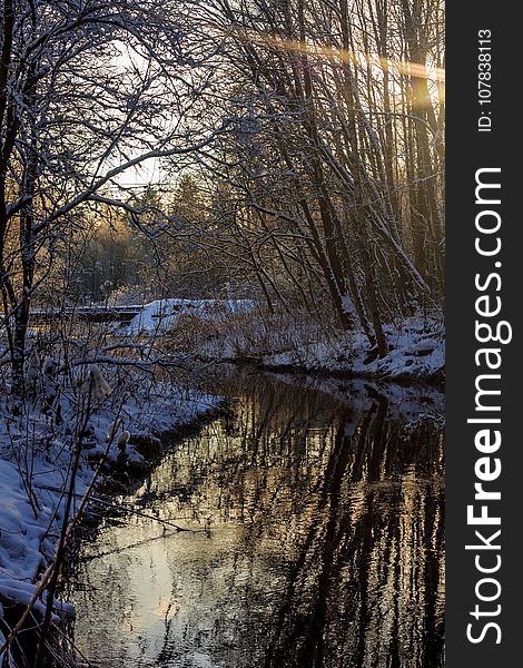 Winter Frosty Sunny Landscape