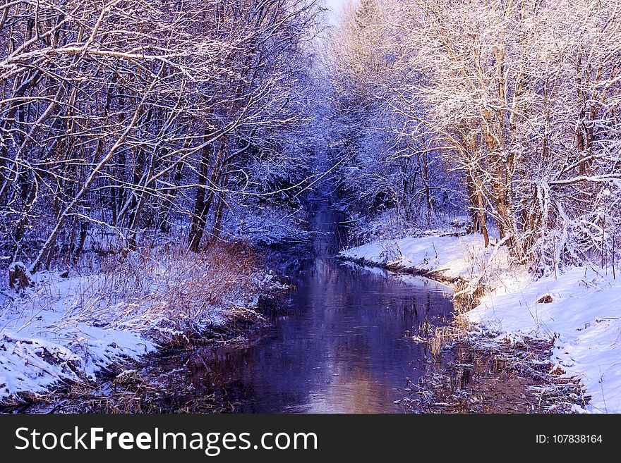 Winter Frosty Sunny Landscape