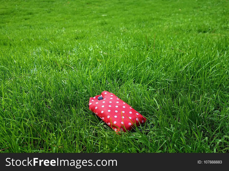 Green, Grass, Lawn, Meadow