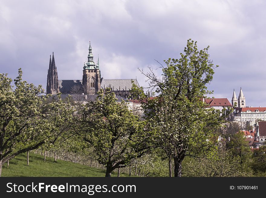 Sky, Tree, Spire, City