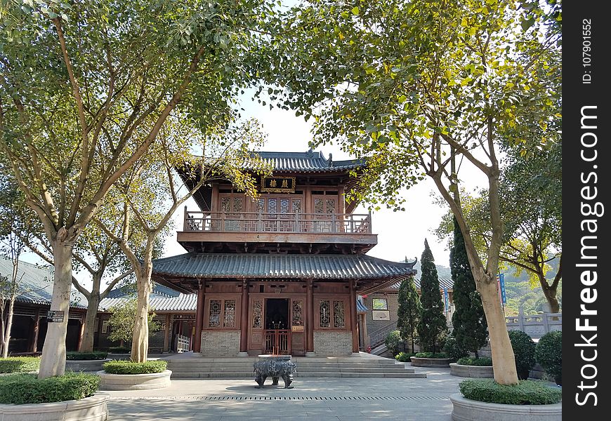 Chinese Architecture, Tree, Shinto Shrine, Temple