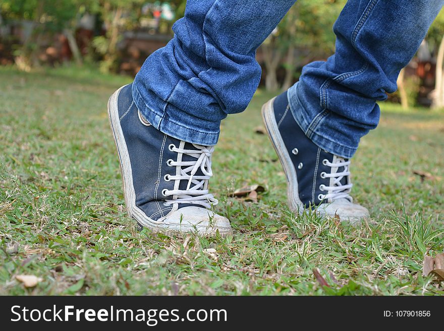 Footwear, Photograph, Grass, Shoe