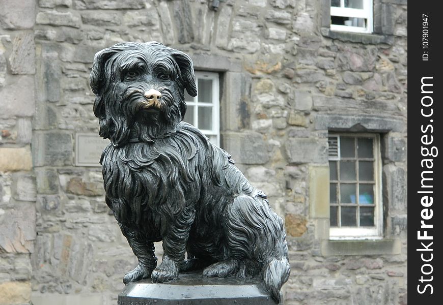 Dog Breed, Dog Like Mammal, Dog, Statue