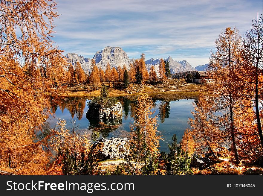 Reflection, Nature, Water, Wilderness