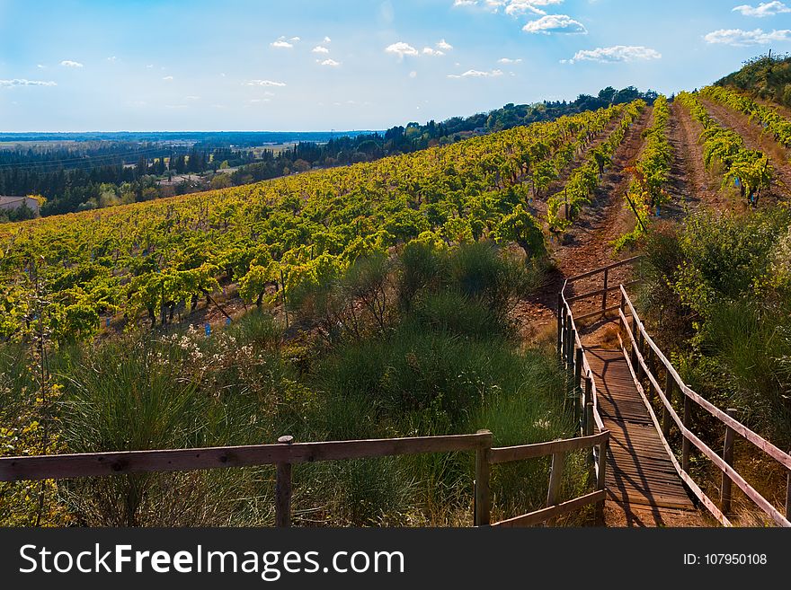 Track, Sky, Agriculture, Transport