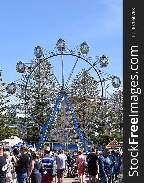 Amusement Park, Ferris Wheel, Amusement Ride, Tourist Attraction