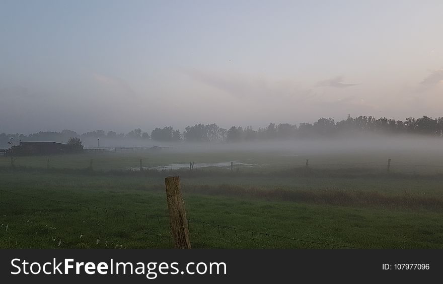 Fog, Mist, Sky, Morning