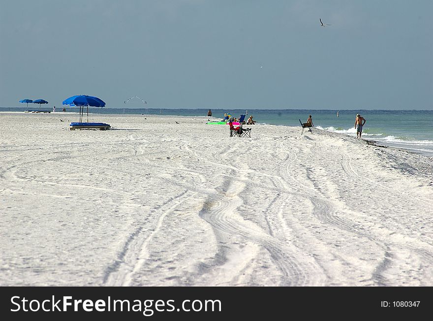 Photographed at Indian Rocks Beach, Indian Rocks Florida. Photographed at Indian Rocks Beach, Indian Rocks Florida