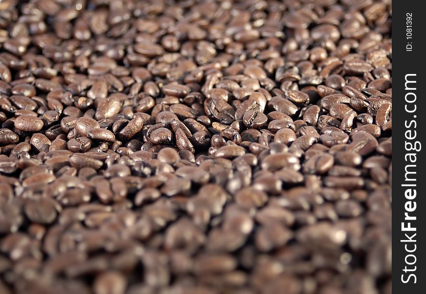 Coffee Beans