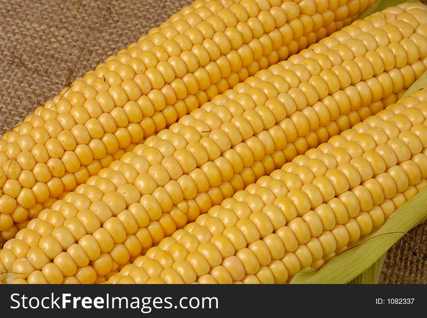 Three ears of corn closeup