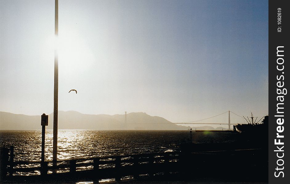 Picture taken of a seabird flying amidst silouettes of the San Francisco Bay and the Golden Gate at dusk

Taken on Canon EOS 300 with Kodak 200 film on 28-80mm lens on manual with 5.6 and AP 1/800. Picture taken of a seabird flying amidst silouettes of the San Francisco Bay and the Golden Gate at dusk

Taken on Canon EOS 300 with Kodak 200 film on 28-80mm lens on manual with 5.6 and AP 1/800