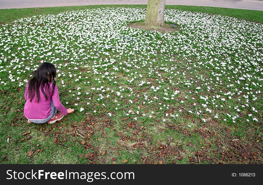 Green spring landscape with child playing in the flower under a tree. Green spring landscape with child playing in the flower under a tree