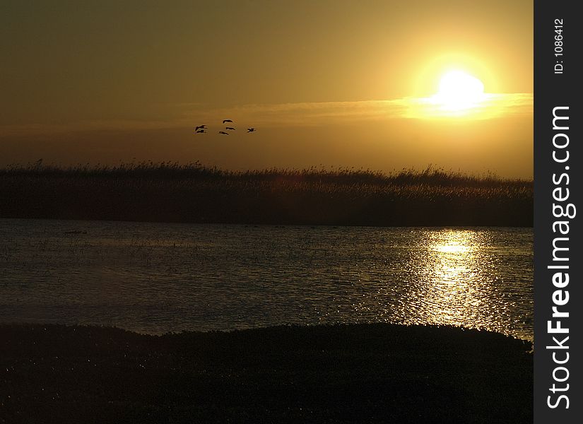 Sunrise With Birds 2836