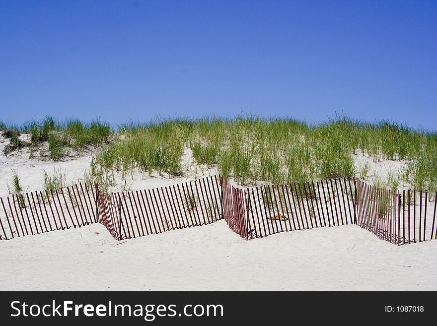 A beach fence zigzags along the dunes protecting it from the weather elements. A beach fence zigzags along the dunes protecting it from the weather elements.