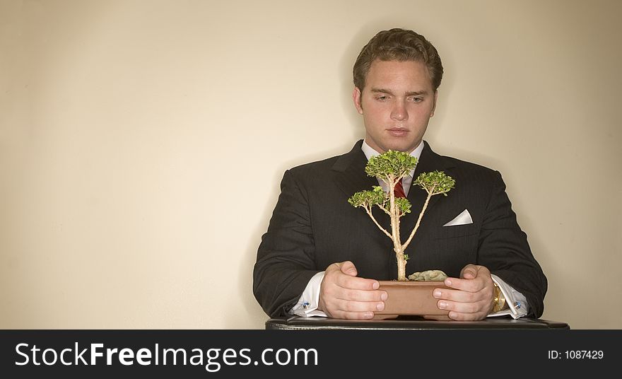 Business man with black suit looks down at bonsai that's on top of his briefcase. Business man with black suit looks down at bonsai that's on top of his briefcase