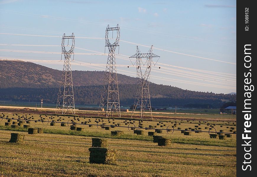 Alfalfa field hayed and bailed under the power transmission lines. Alfalfa field hayed and bailed under the power transmission lines.