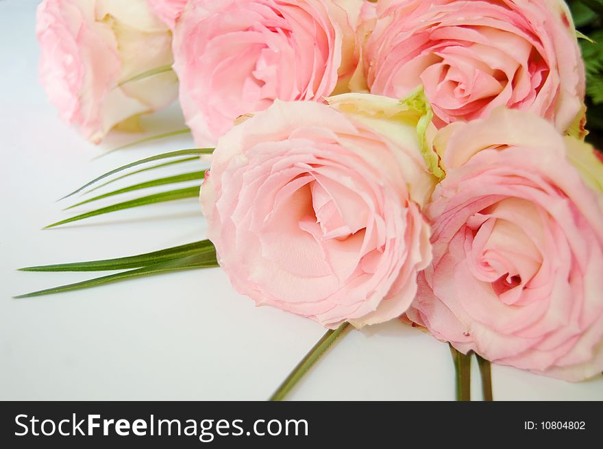 Bouquet Of Tender Pink Roses Lying