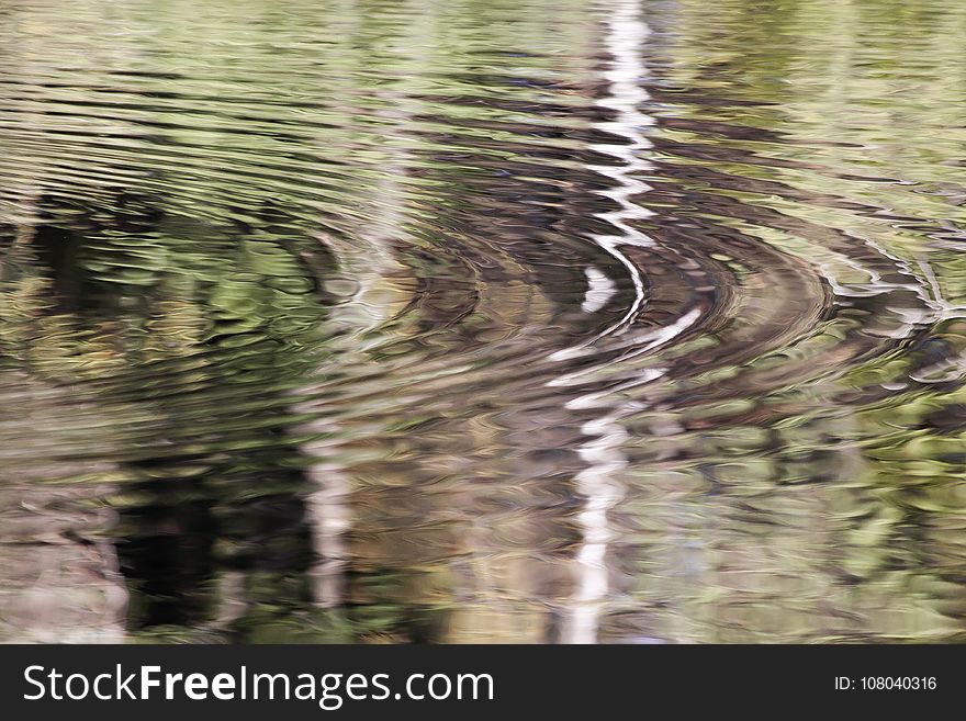Reflection, Water, Tree, Water Resources