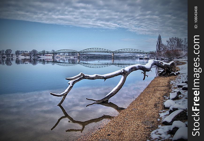 Reflection, Water, Freezing, Branch