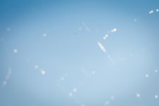 Blurred Waterdrops On Cobweb Stock Photo