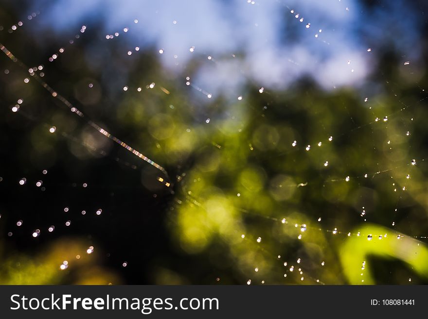 Defocused water drops on a spider web, bokeh effect, natural background. Defocused water drops on a spider web, bokeh effect, natural background.