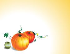 Pumpkins Royalty Free Stock Image Pumpkins Royalty Free Stock Image