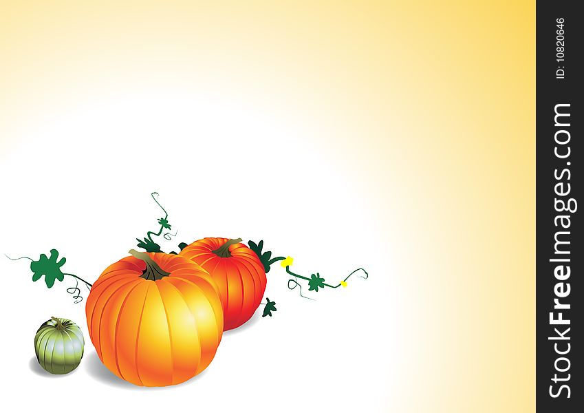 Illustration of three pumpkins vector