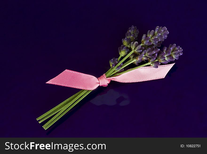 a lovely little bunch of lavender.