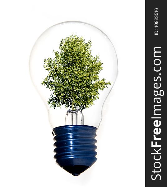 Tree In Light Bulb