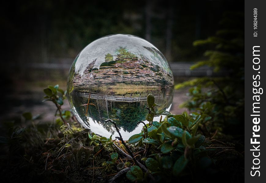 Nature, Reflection, Sphere, Water