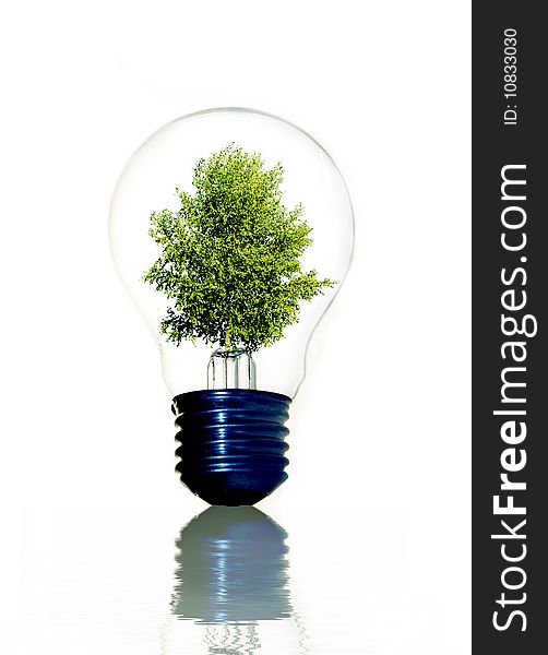 Tree in light bulb symbolizing green energy